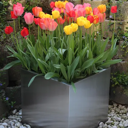 Szálloda Tulip Beaulieu Lausanne