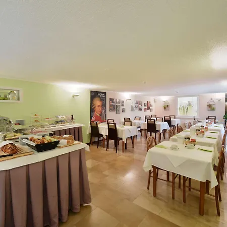 튤립 인 볼리유 3*