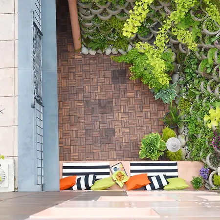 튤립 인 볼리유 로잔