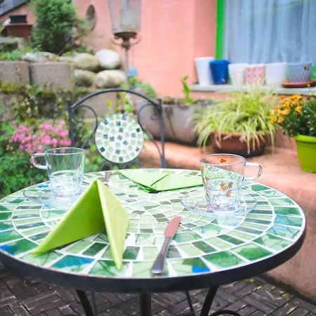 튤립 인 볼리유 로잔