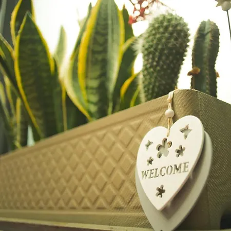 튤립 인 볼리유 3*