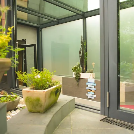 튤립 인 볼리유 호텔 3*