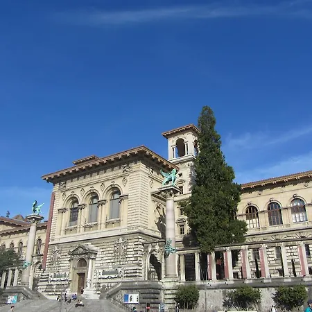 튤립 인 볼리유 로잔