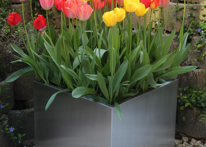 Hotel Tulip Beaulieu Lozanna