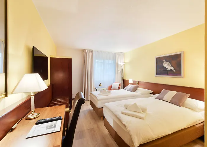 Tulip Beaulieu Lozanna